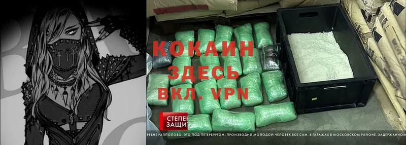 Cocaine Fish Scale  где можно купить наркотик  Бирск 